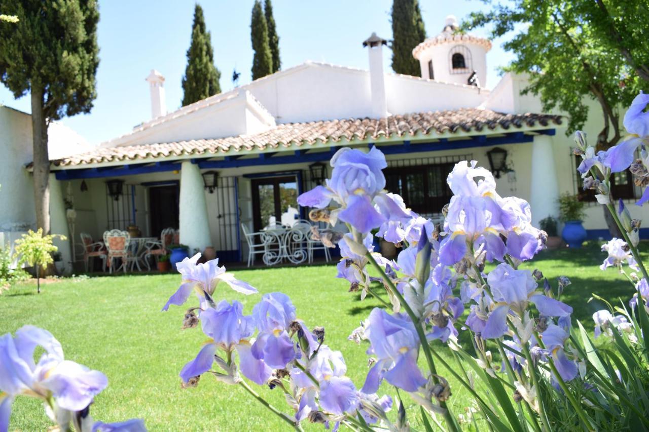 Venta del Celemín Casa de hóspedes Ossa de Montiel Exterior foto